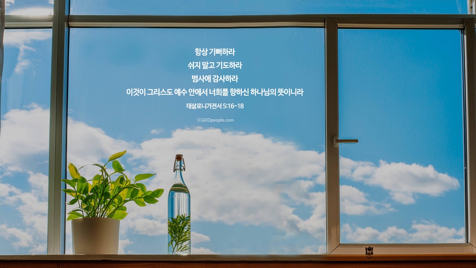 프로필사진