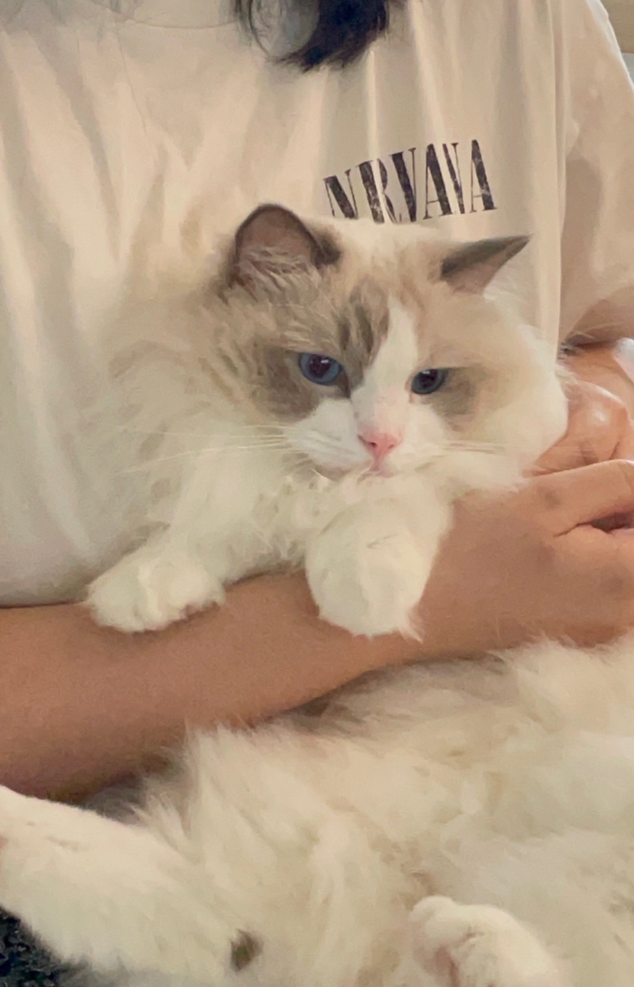 프로필사진