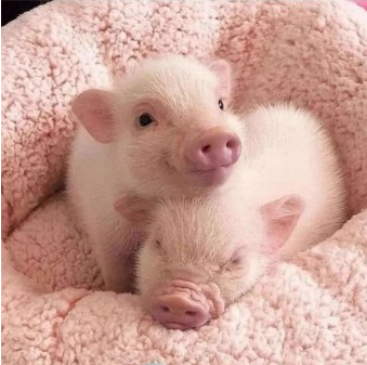 프로필사진