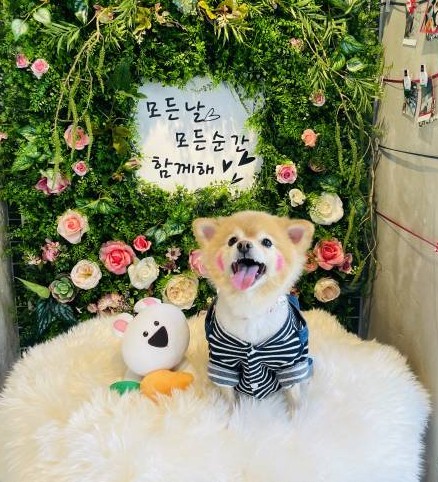 블로그 이미지