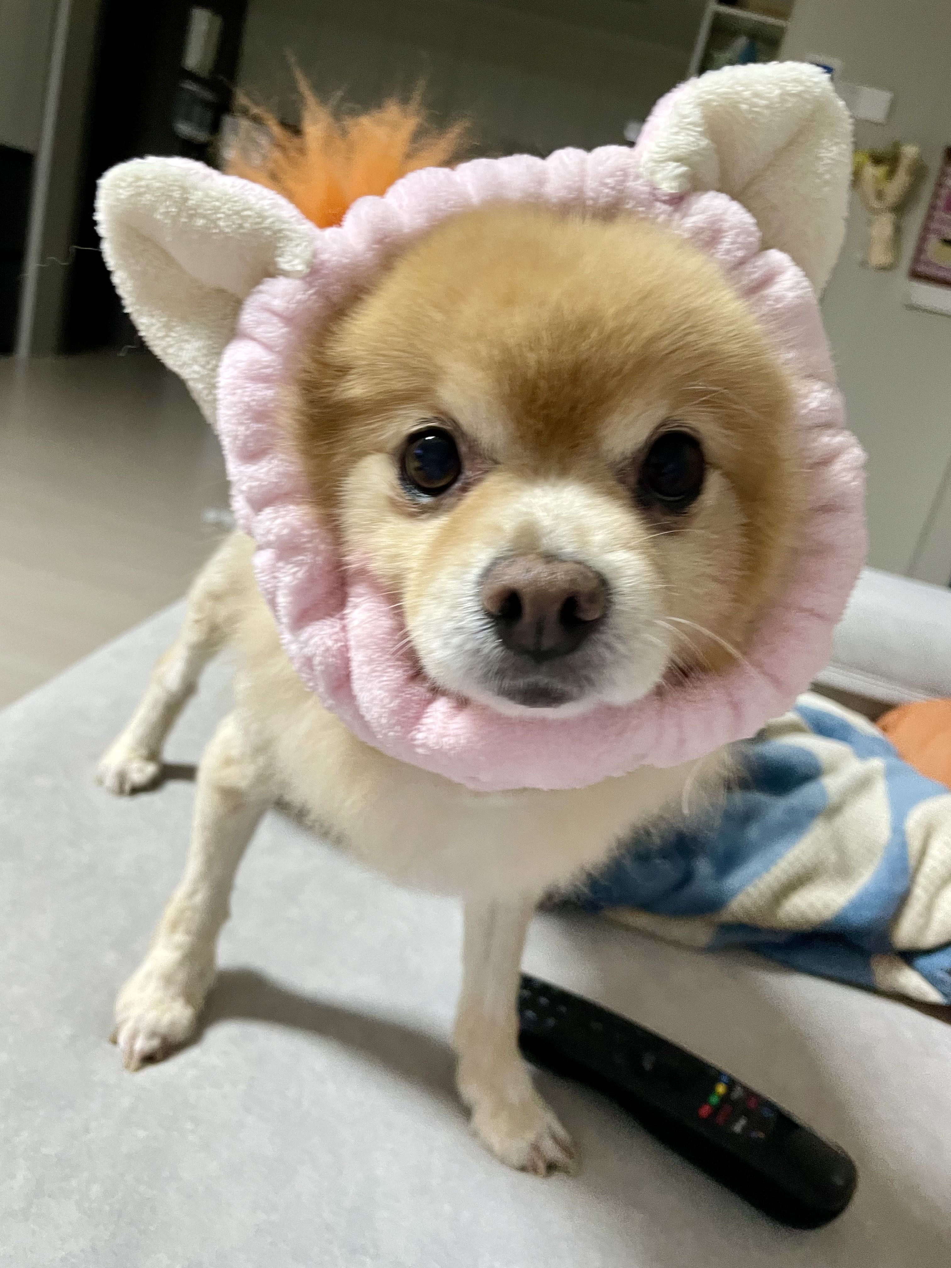 블로그 이미지