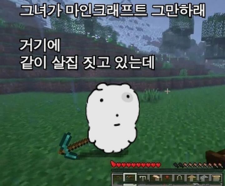 프로필사진