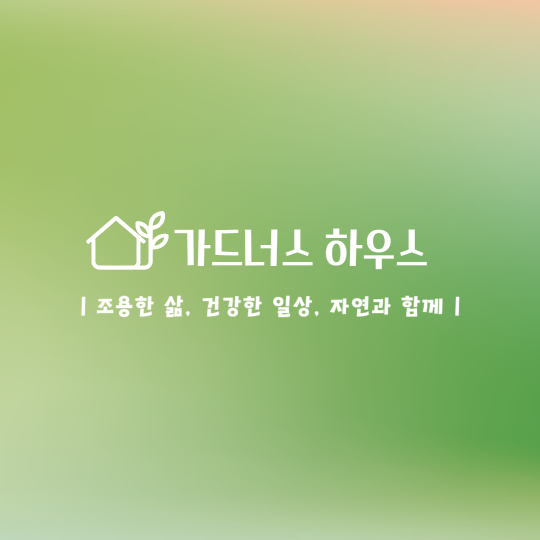 블로그 이미지