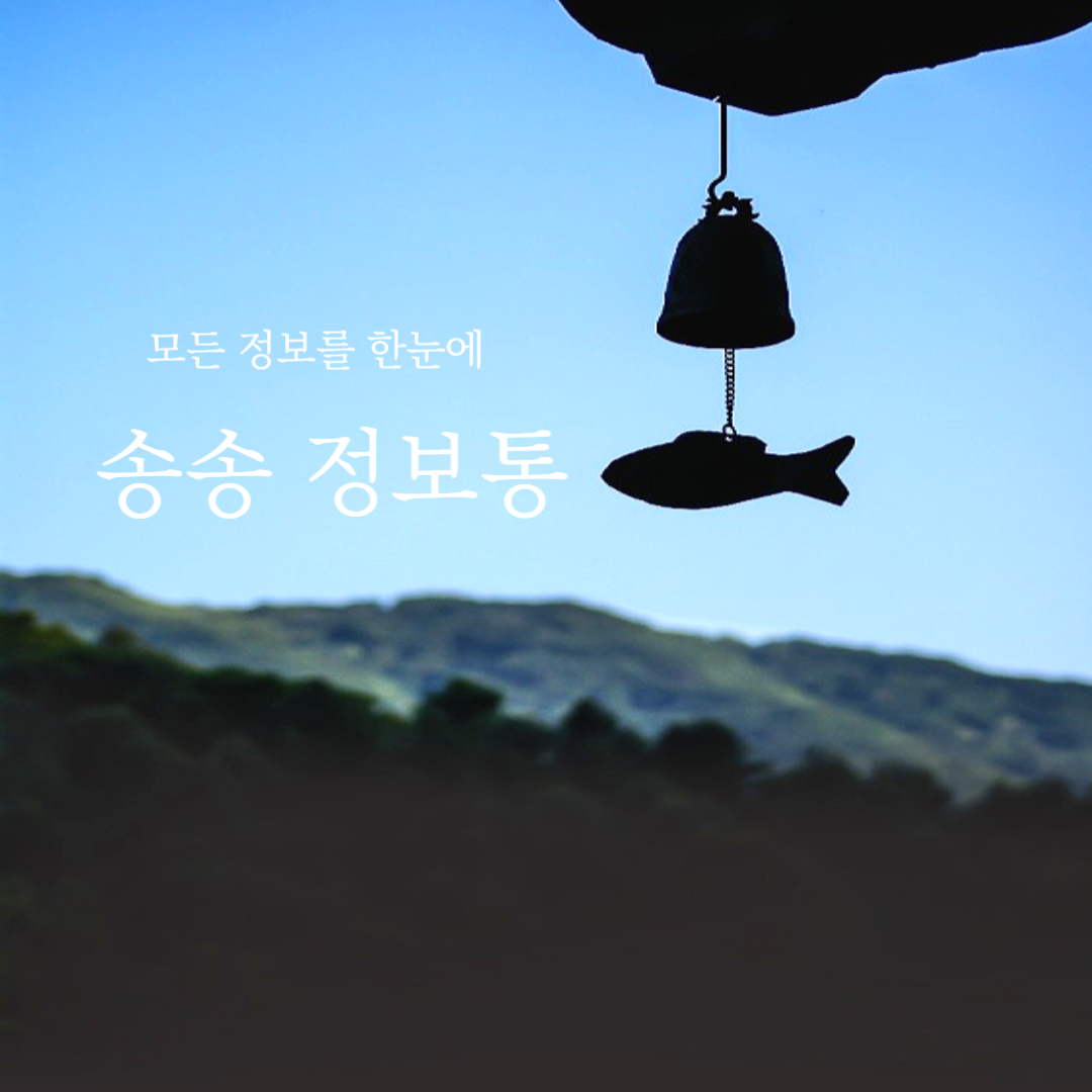 블로그 이미지