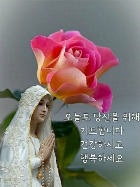 프로필사진