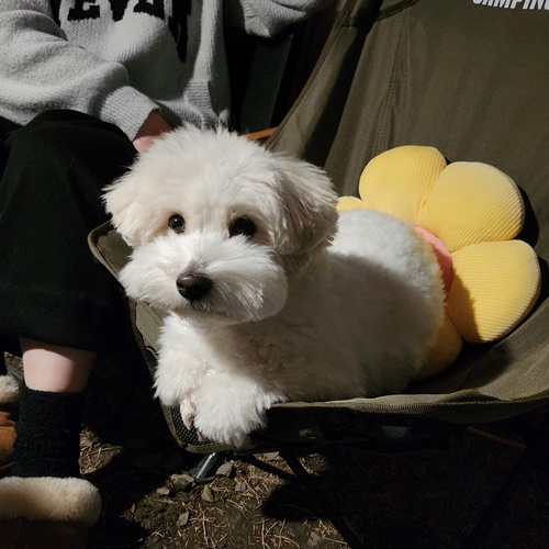 프로필사진