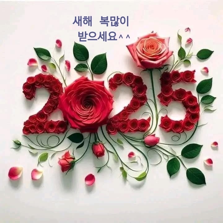 블로그 이미지
