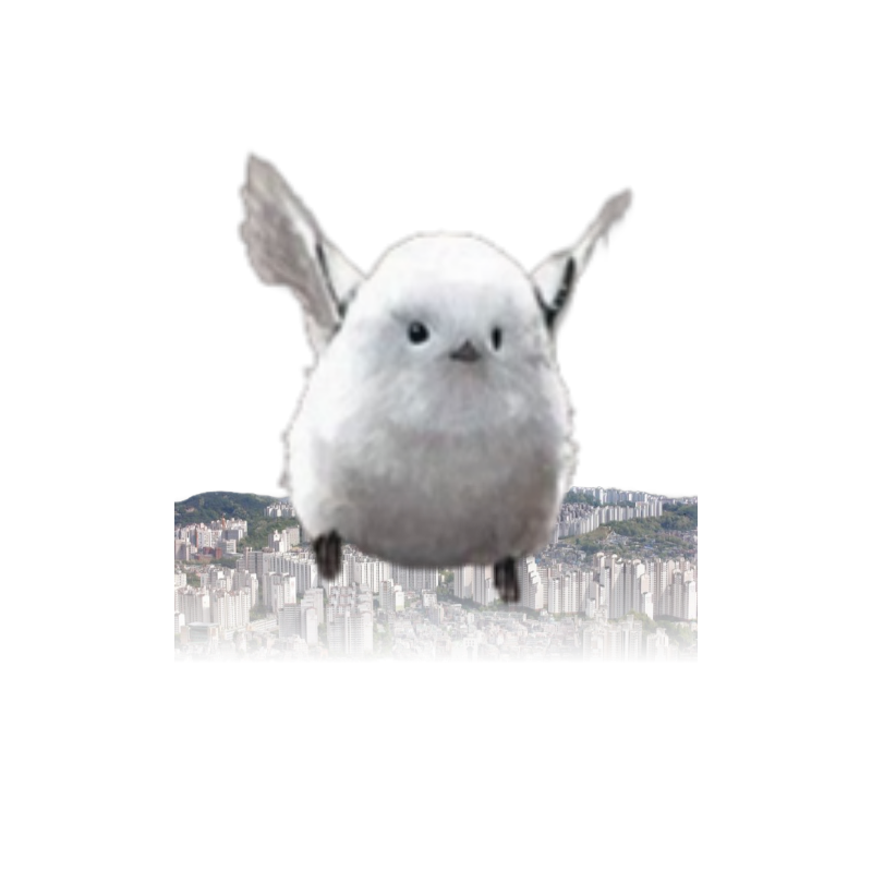 프로필사진