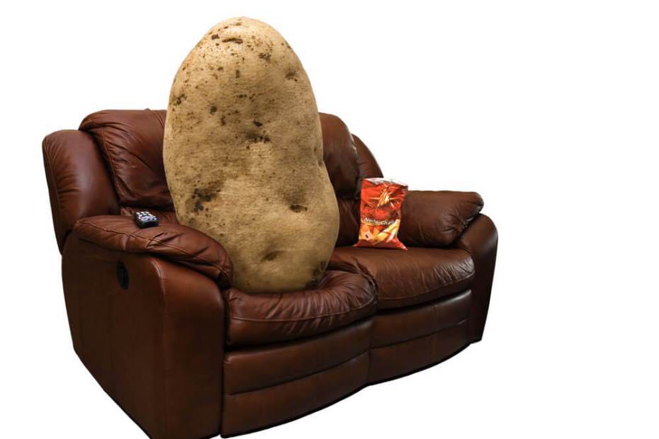 프로필사진