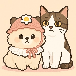 블로그 이미지