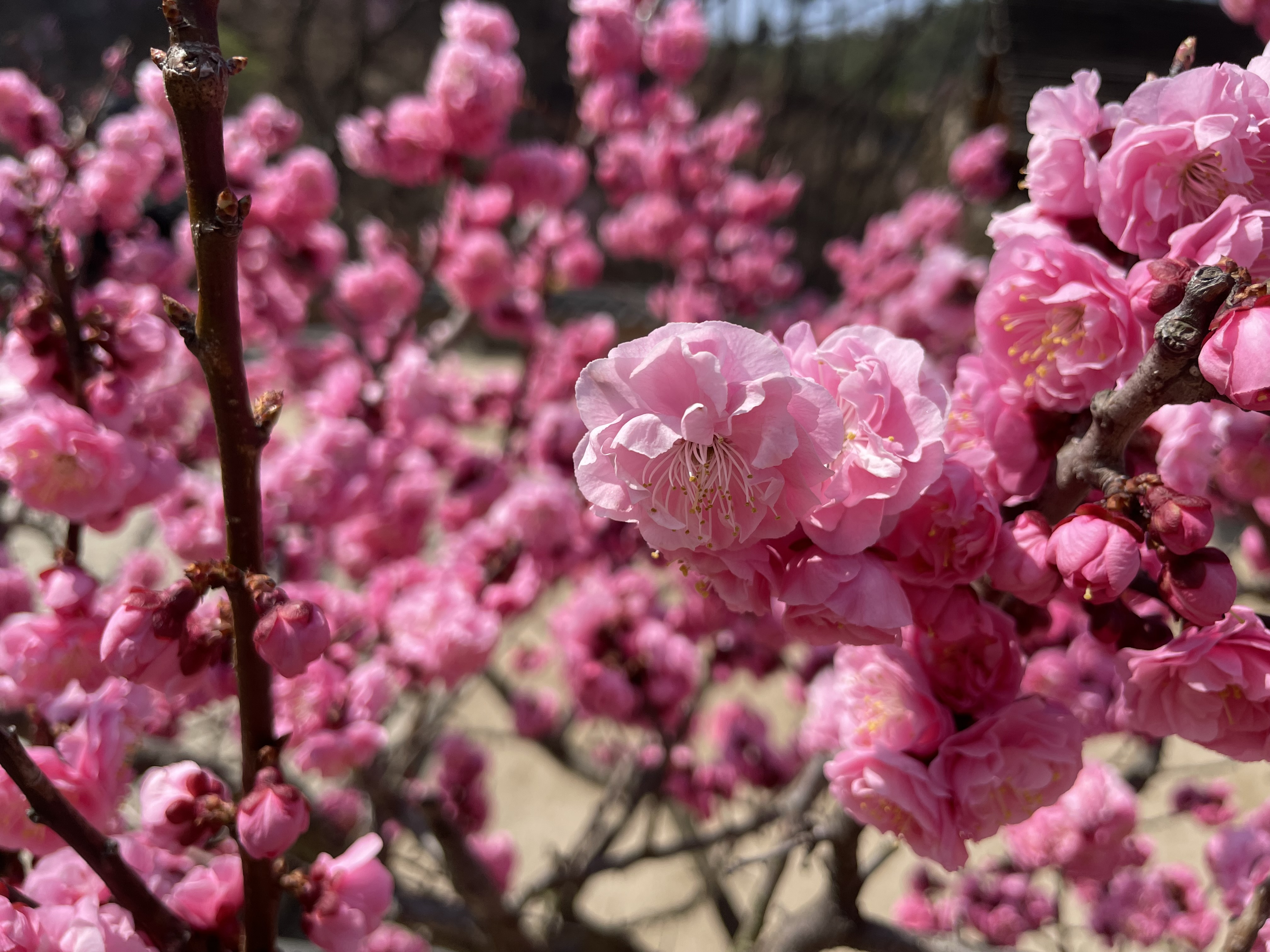 boldness5 님의 블로그