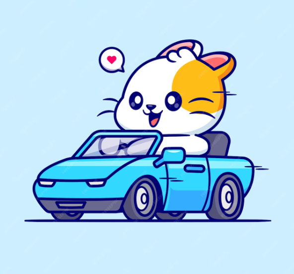 프로필사진