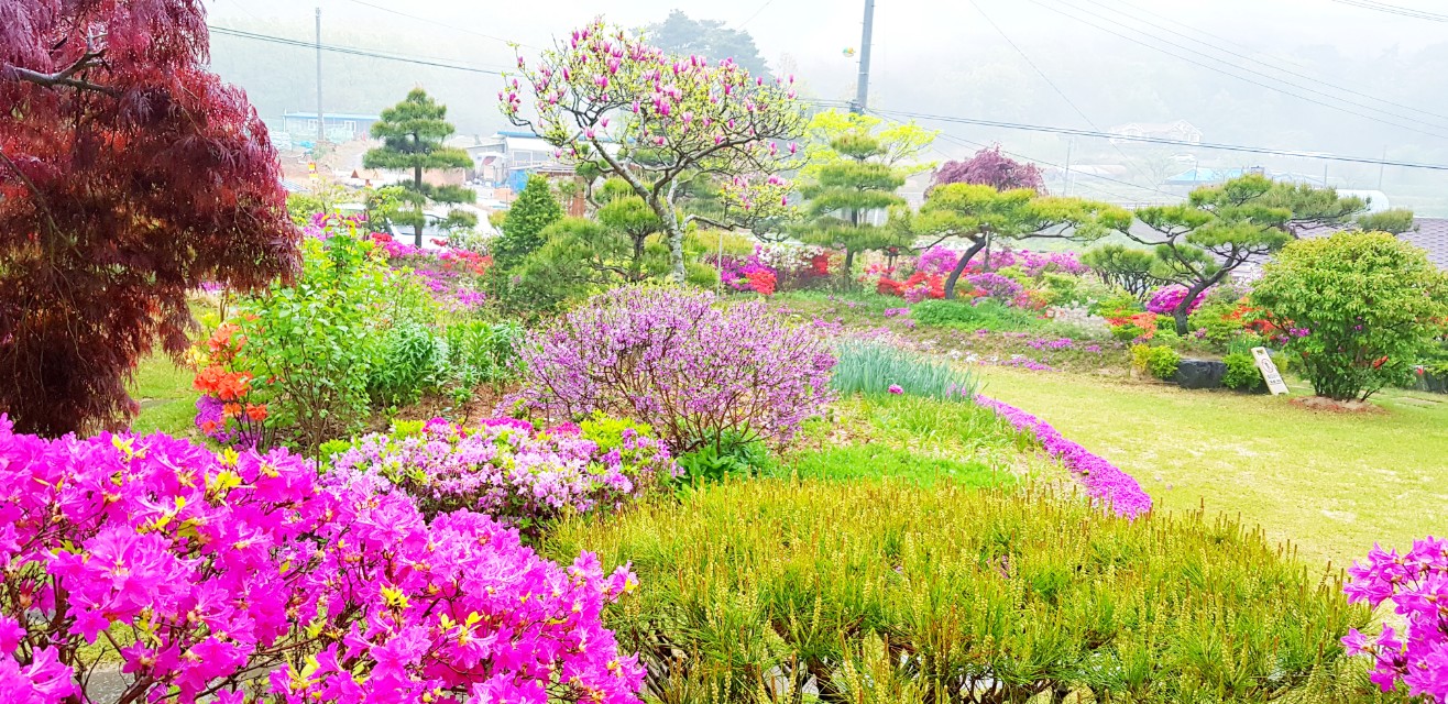프로필사진