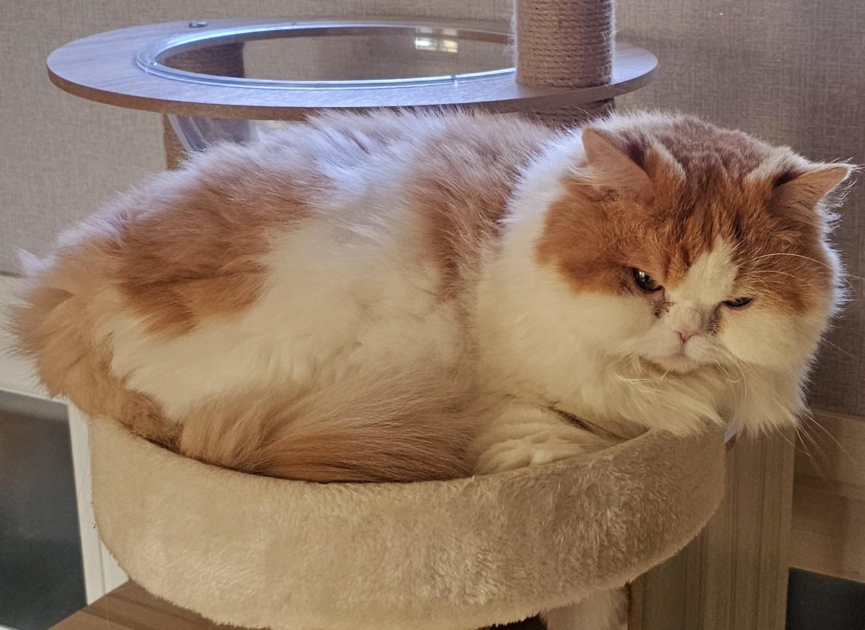 프로필사진