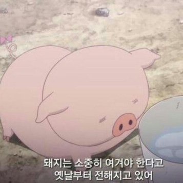 프로필사진