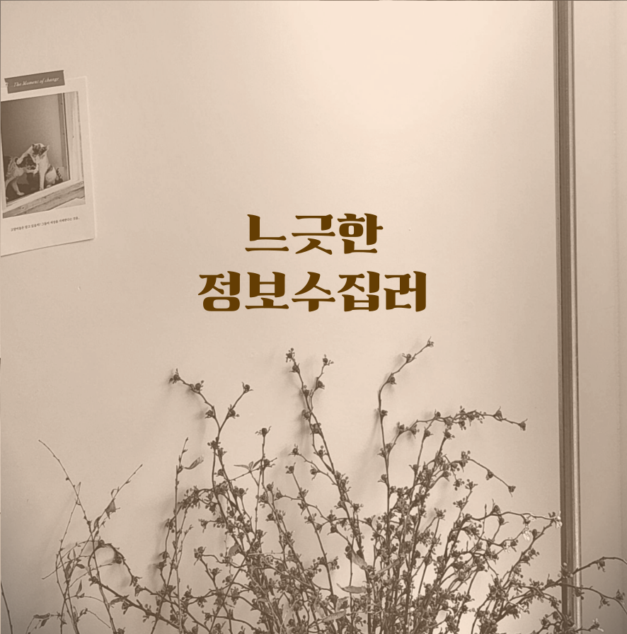 프로필사진