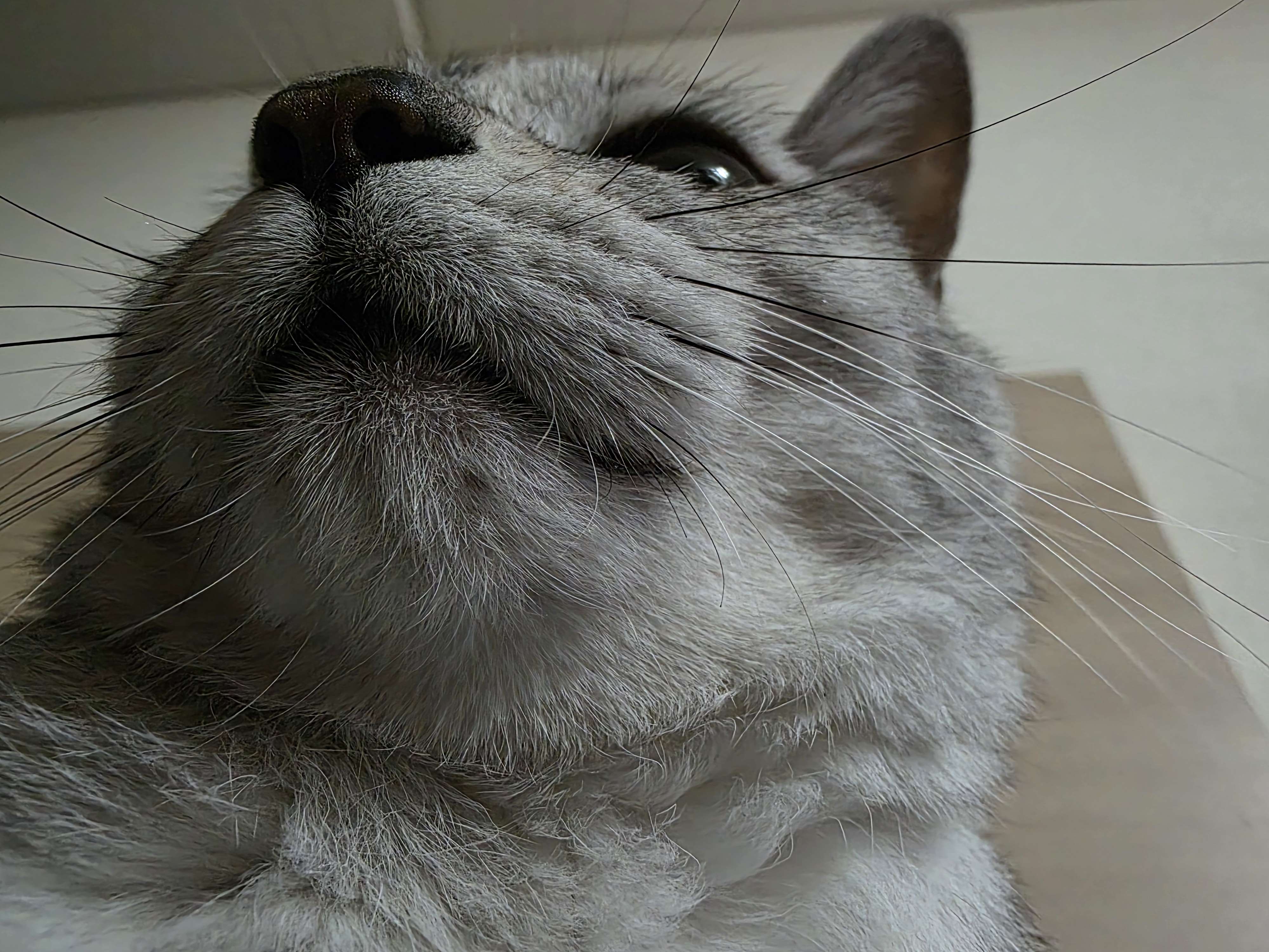 Tistory profile picture for @jingles