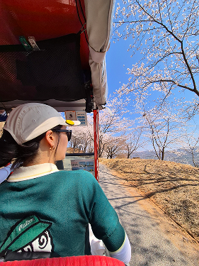 프로필사진