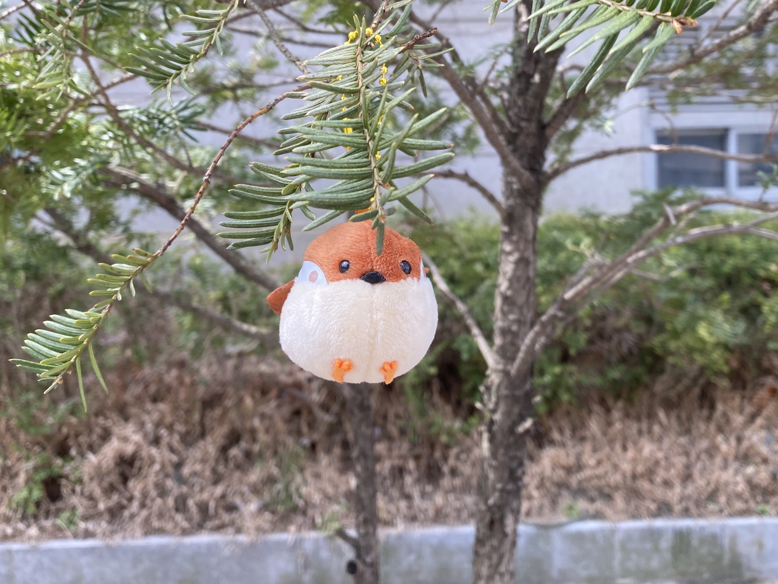 프로필사진