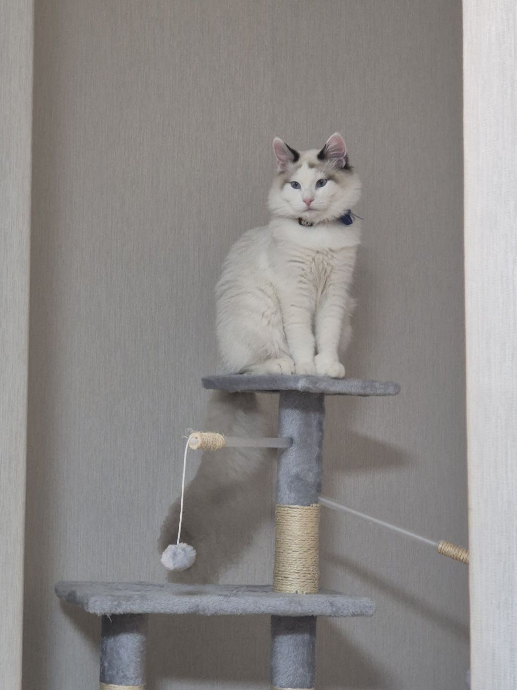 프로필사진