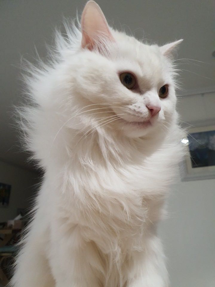 프로필사진