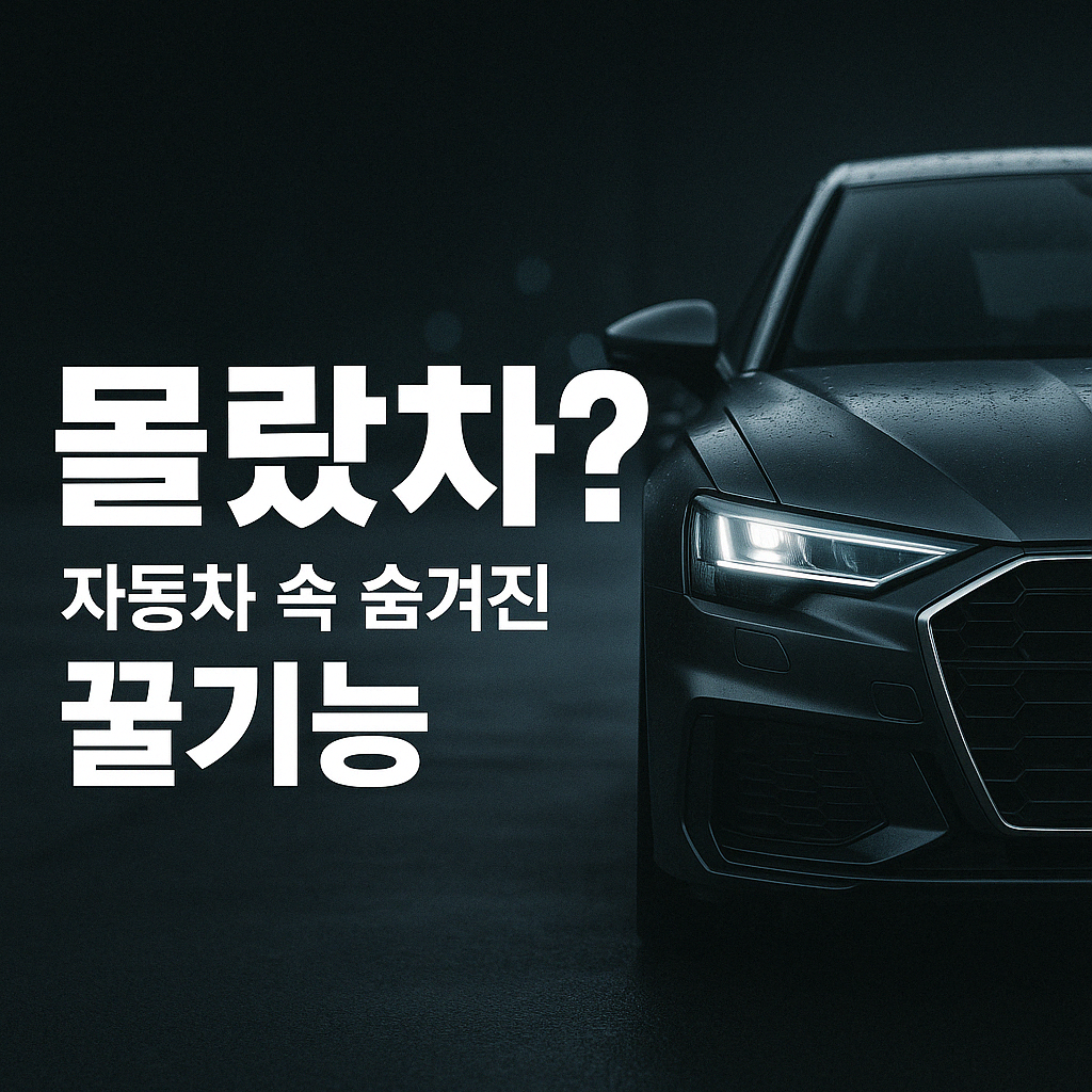 숨겨진 자동차 꿀팁