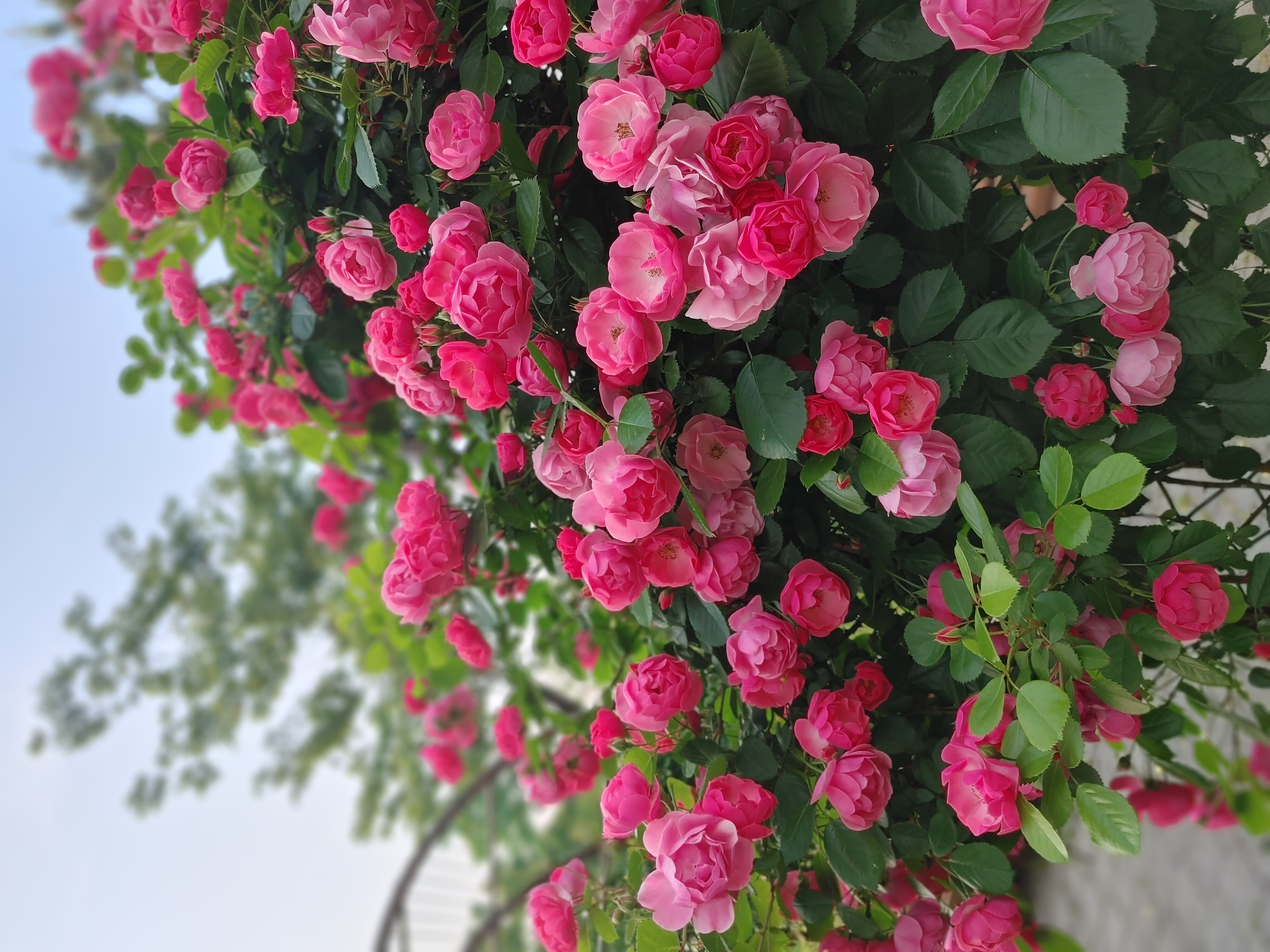 프로필사진