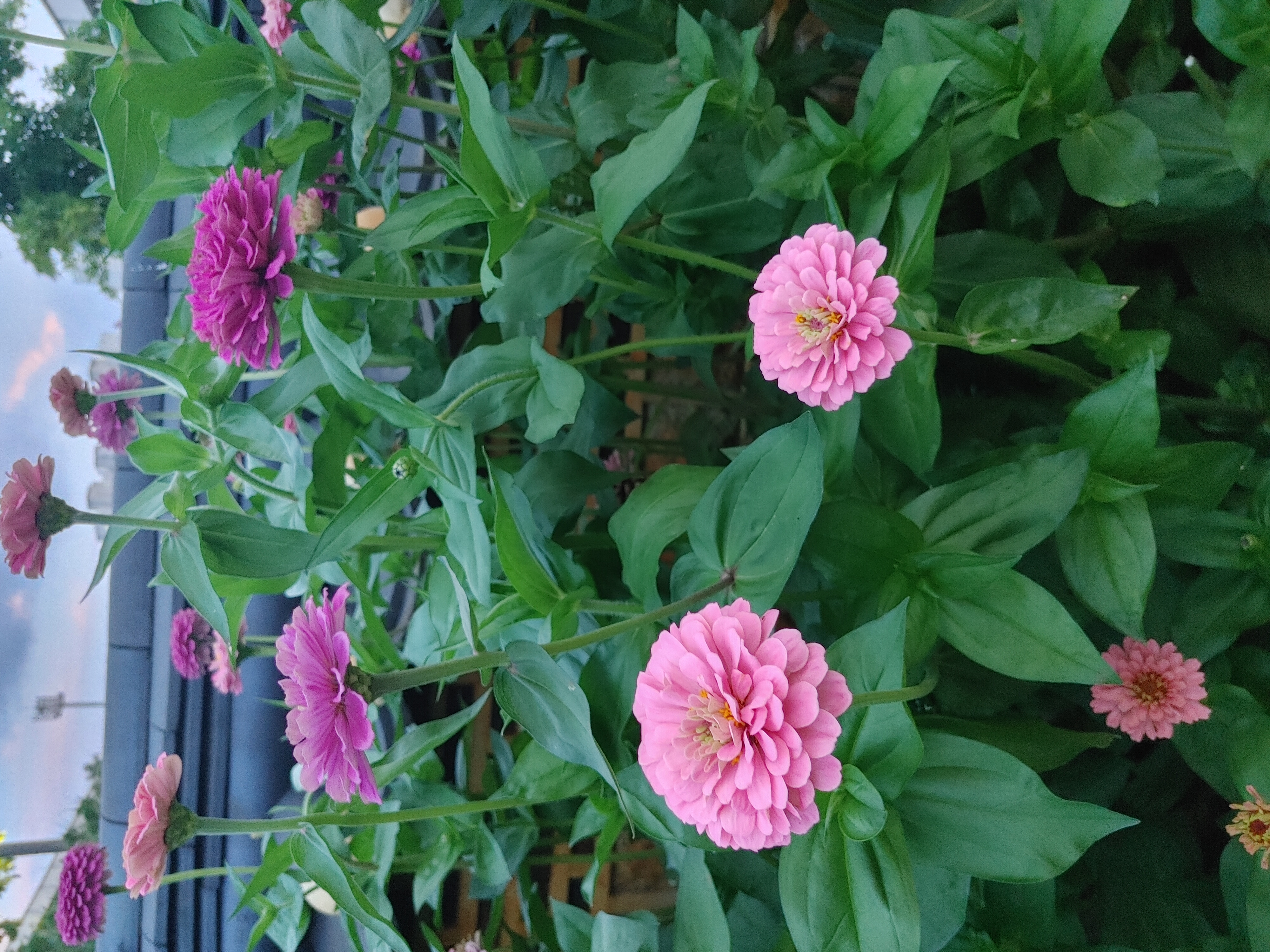 프로필사진