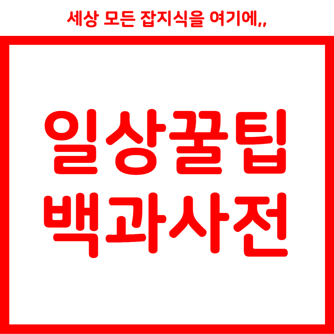 프로필사진