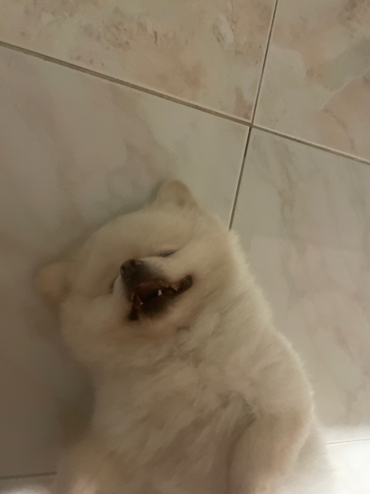 프로필사진