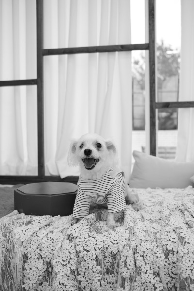 프로필사진