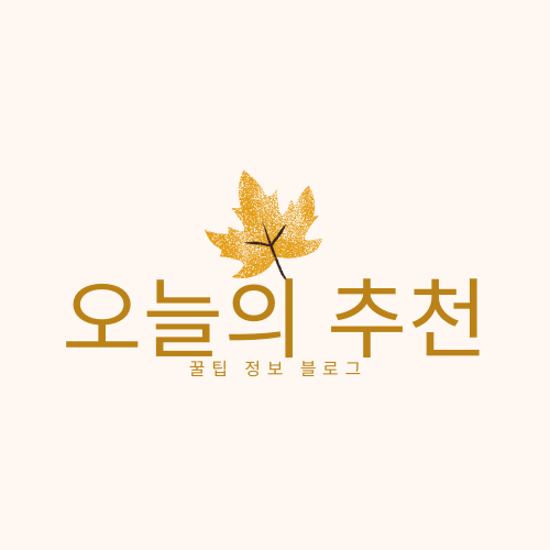 프로필사진