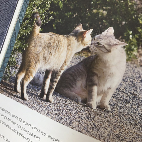 프로필사진