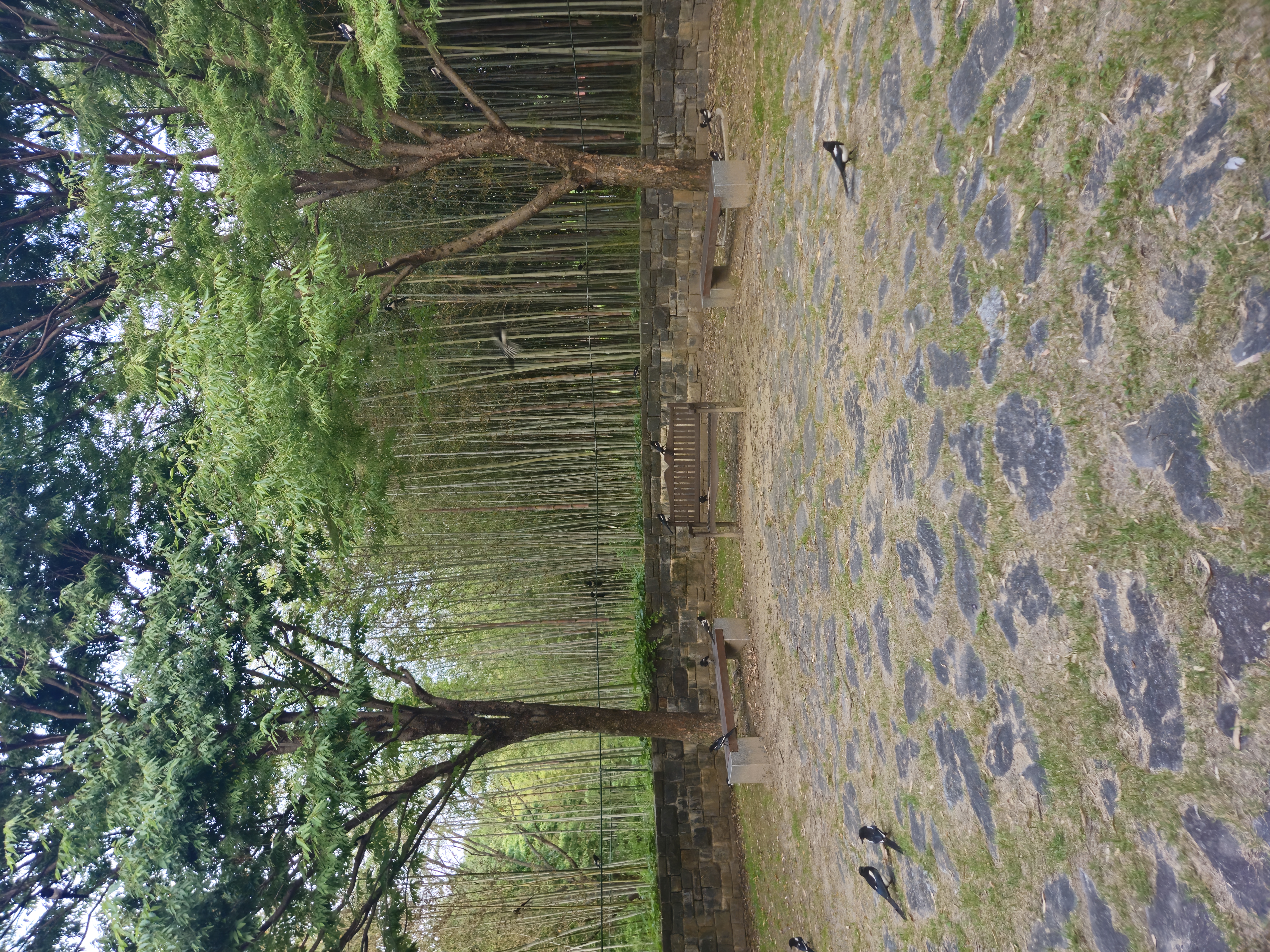 블로그 이미지