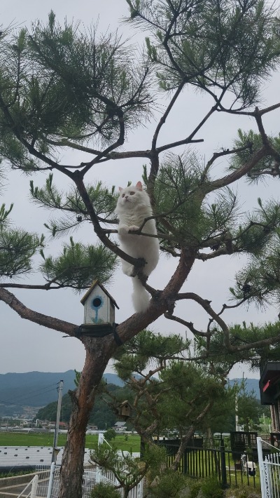 프로필사진