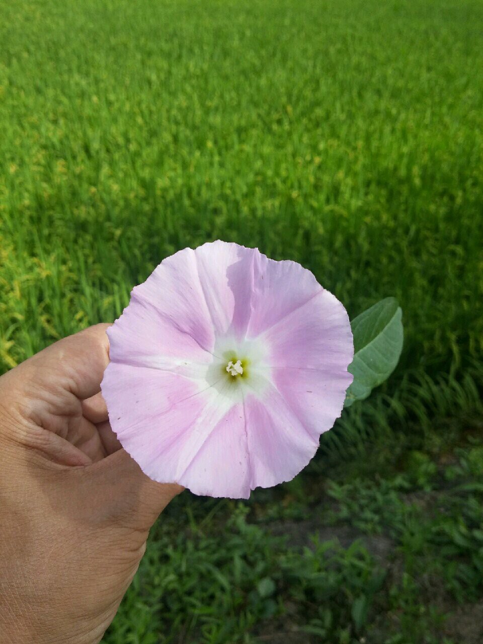 프로필사진