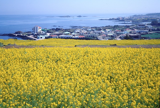 프로필 로고