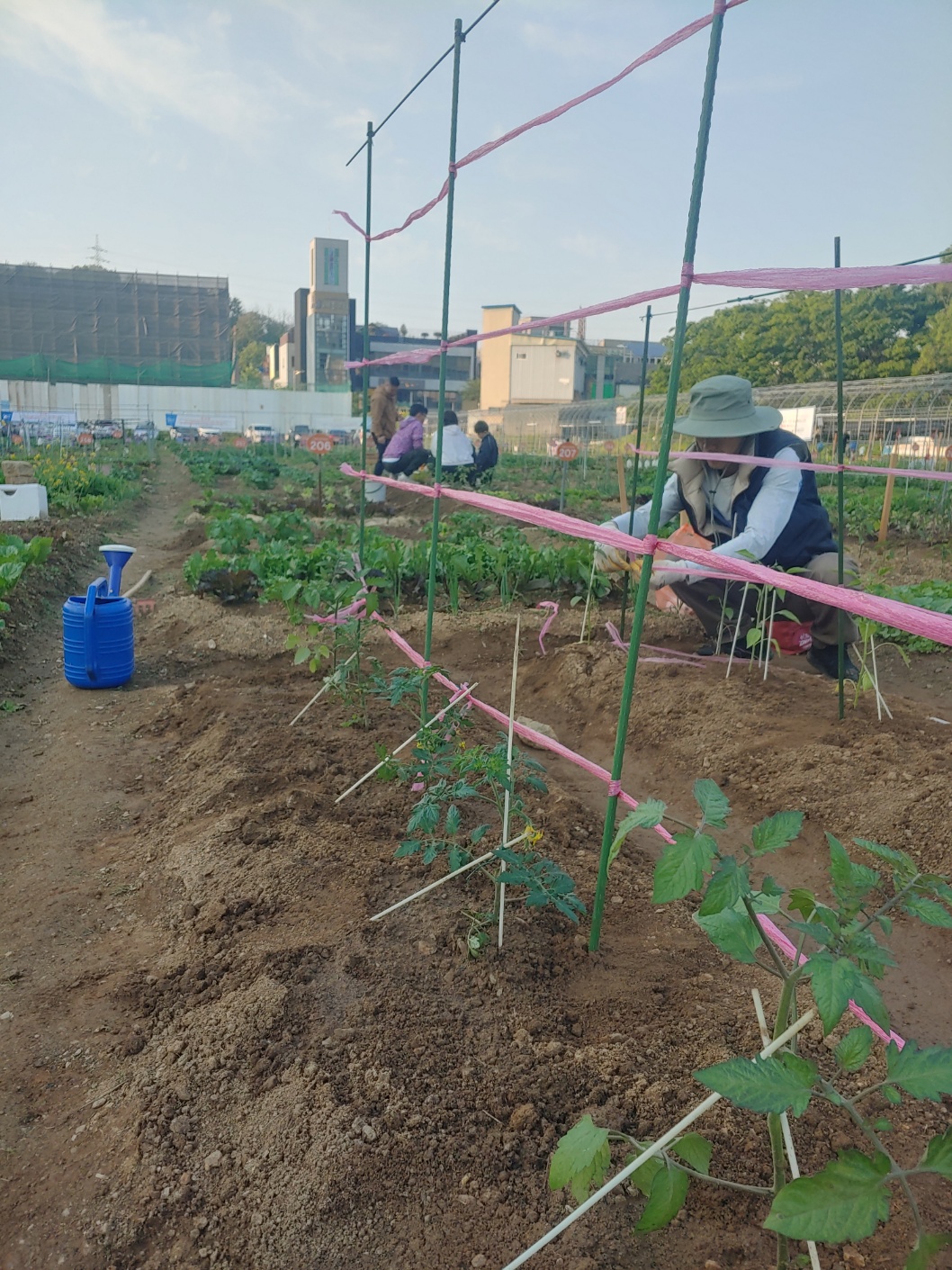 프로필사진