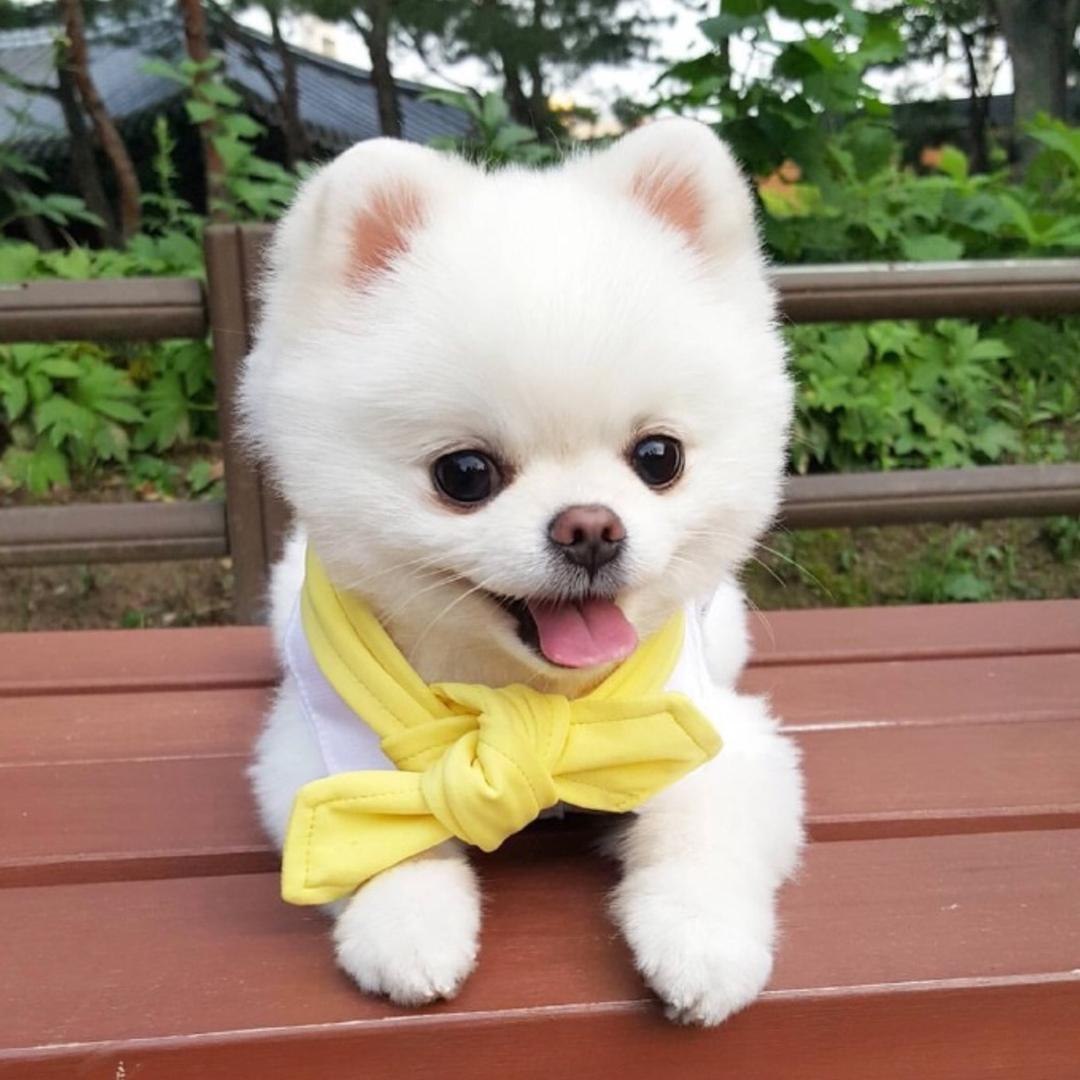 프로필사진