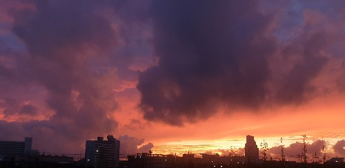 프로필사진
