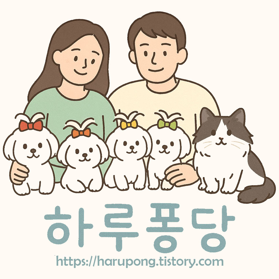 프로필사진