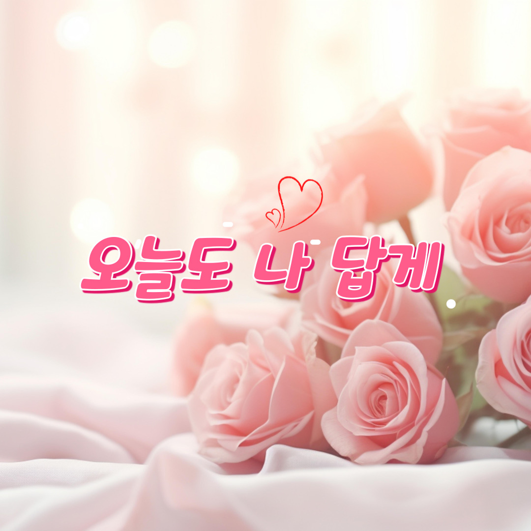 프로필사진