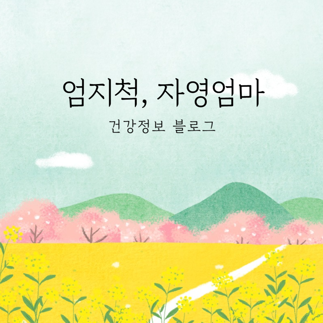 프로필사진