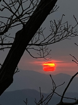 블로그 이미지