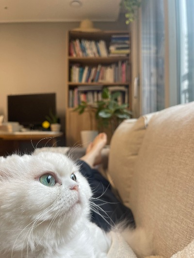 블로그 이미지