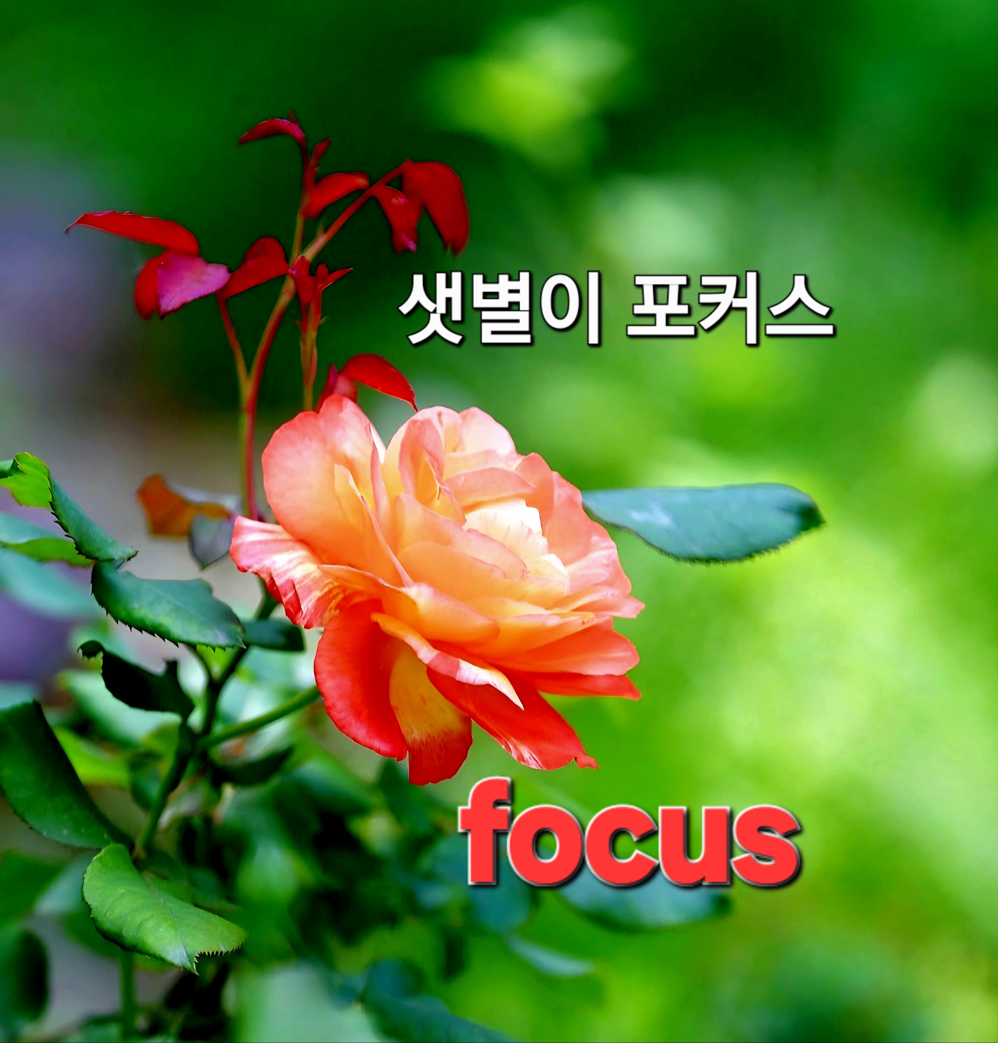 프로필 로고
