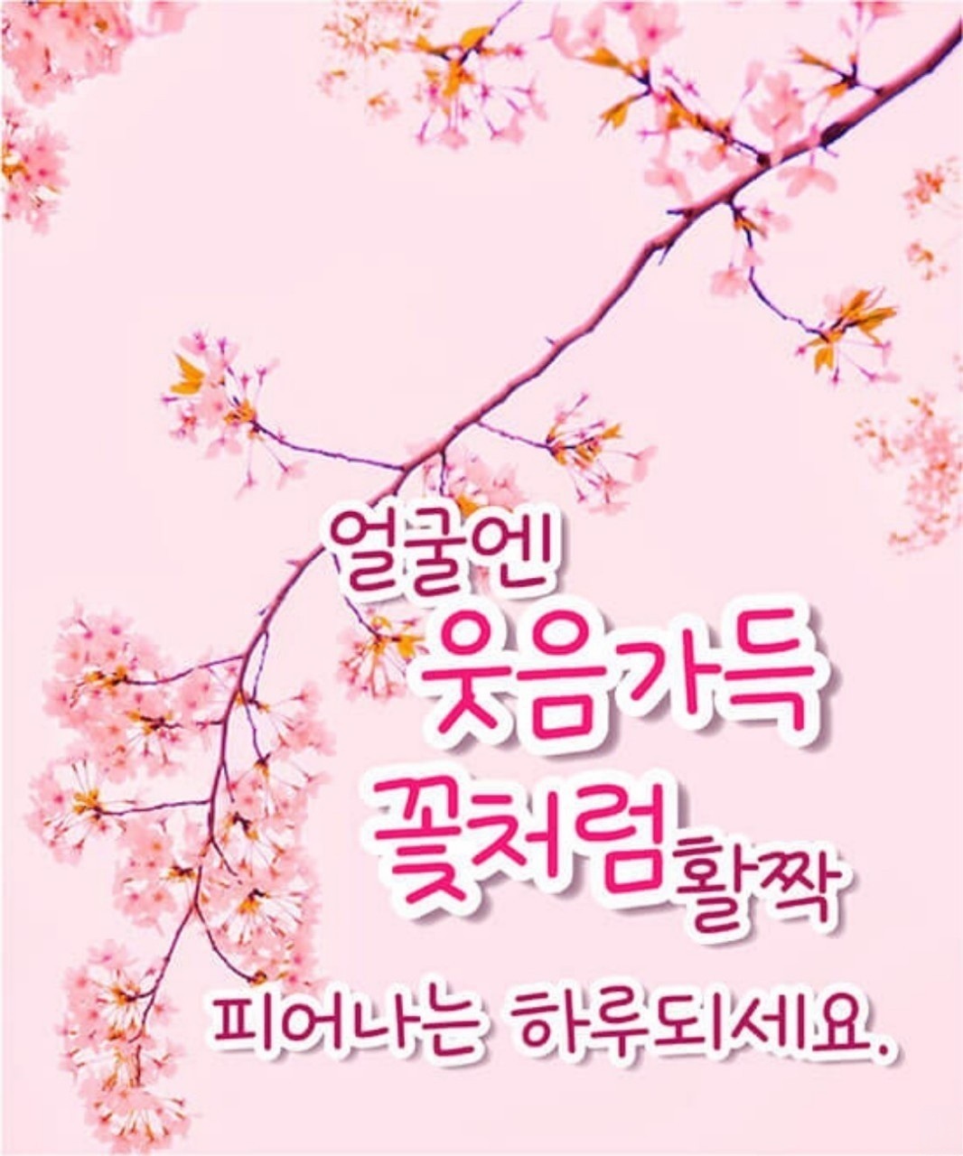 블로그 이미지