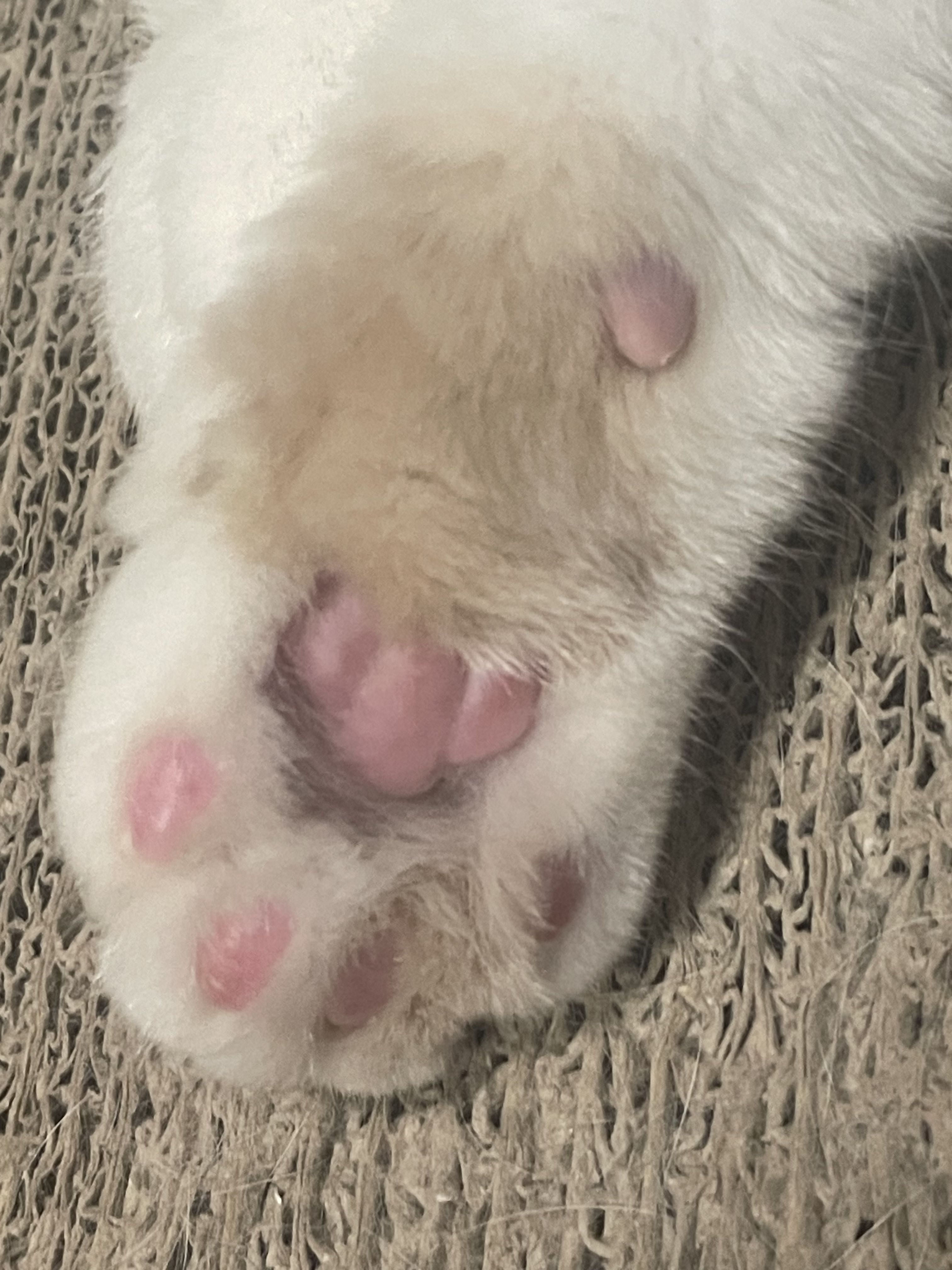 프로필사진