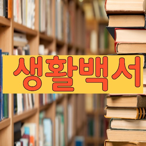 프로필사진