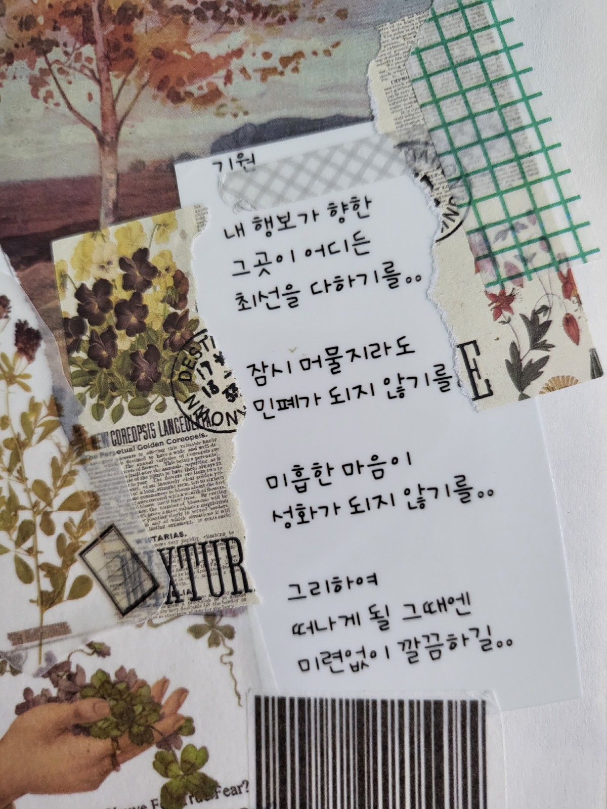 블로그 이미지